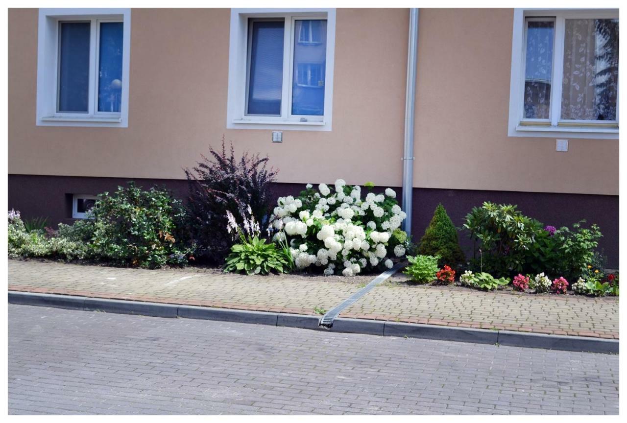 Color24 Apartament Stalowa Wola Exteriér fotografie